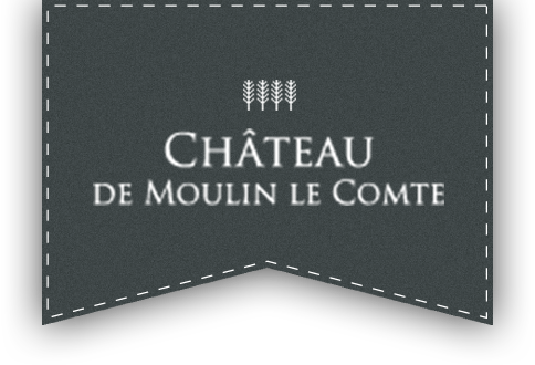Chateau De Moulin Le Comte